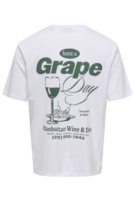 Only & Sons onsalfresco rlx ss tee